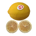 China Wholesale High Quality Fresh Lemon Fresh Citrus Fruit For Sale